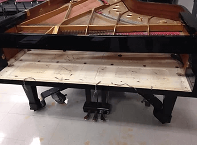 Piano Cleaning
